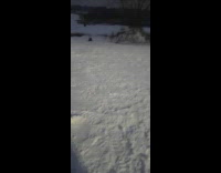 Man lie down and rides the snowboard downhill then fall