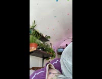 Guy hits back of head on shelf 