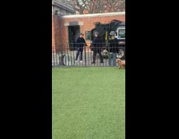 Physical altercation between older asian man and racist