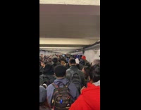 Crowd of people walk through subway station