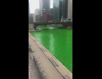 River in Chicago turned green St Particks Day