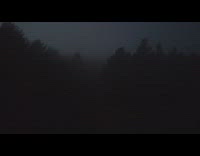 Guy flies drone through woods fog sunset 