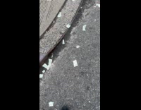 Guy shows money ripped apart on street