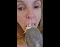 Cockatiel head inside woman mouth chirp inside