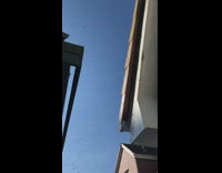 Thousands of bees swarm around mans house