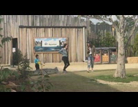 Sunglasses girl sits on fake alligator crocodile