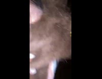 Michael meyers guy drives off car 