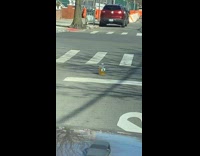Girl in car sees bottle on street