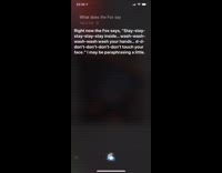 Siri iphone fox says stay home quarantine 