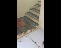 Raccoon head stuck in metal can girl 