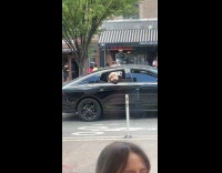 Dog wears sunglasses peek at car window