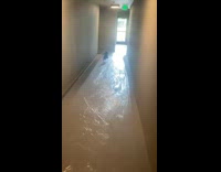 Pet dog runs on the hallway because of excitement