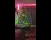 Dad and daughter throw ornaments onto christmas tree 