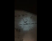 Woman films boyfriend and dog making snow