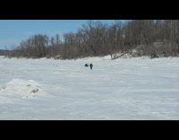 Man fell off the snowmobile and goes on without him at the snow field