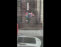 Collab winy - Woman poses dogs in wigs and costumes