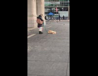 Woman stares at her dog laying on its back 