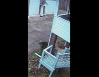 White dog jumps off second floor balcony 