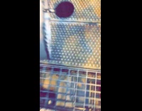 Work accident guy drops power drill off construction platform 