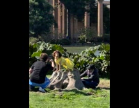 Pet dog in yellow dress on a tree stump