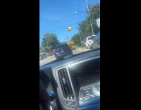 Collab WINY - Car drive with plant sticking out of window