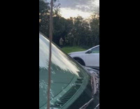 Woman green jacket takes picture of tree