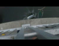 Collab DailyDoseOfInternet - Large fish barracuda caught and got loose in the ocean