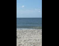 SUBMITTED FIRST TO BITCH - Man says jumping dolphin is computer generated
