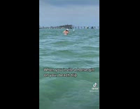 When you invite horse girl to beach trip 
