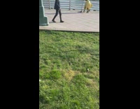 Long yellow skirt girl white cruise boat 