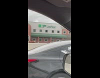 Dog with head out of sunroof of car on highway 