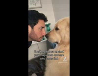 Dog and owner touching nose staring contest 