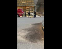 Firemen Watches Robotic Dog Trial in Front of them