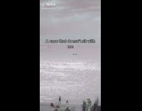 Collab BitchIG2 - A case that doesnt sit well with me