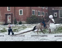 Woman rides horse pulls guy does snowboarding