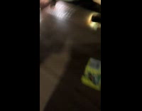 35 year old bubble gum turned rock