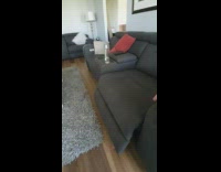 Small dog comes out from under recliner 