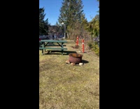 Little boy wants to go home outdoors 