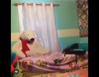 Piggy back fail green sweater polar bear