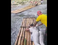 Guy rubs sunscreen massages back lady on raft