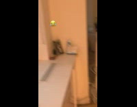 Small dog in apartment scared of thunder 