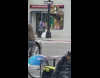 Guy walks fake animal toy 