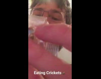 Fried and Dried Crickets eaten from the plastic bag