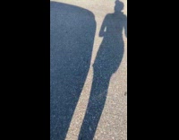 Collab ClipsIG - Woman rescues black dog on the road