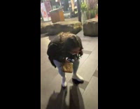 Two women uncontrollably laughing on street