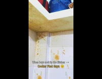 Collab BitchIG2 - Guy tries to cook creates big mess