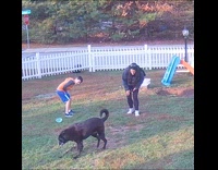 Black dog bites giant stick hits woman