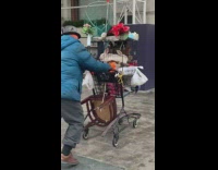 Guy pushes cart with two white rabbits