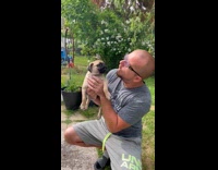 Man Hints Puppy on Hand to Howl