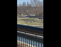 Woman white pants squat on stone park